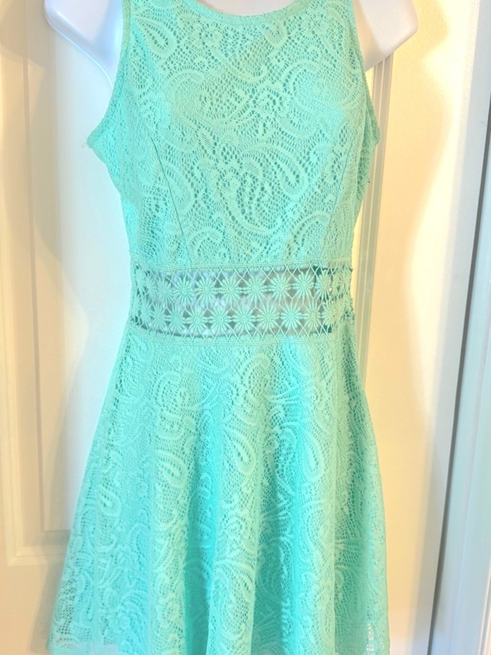Rue + Mint Lace Fit & Flare Dress with Floral Waist Panel